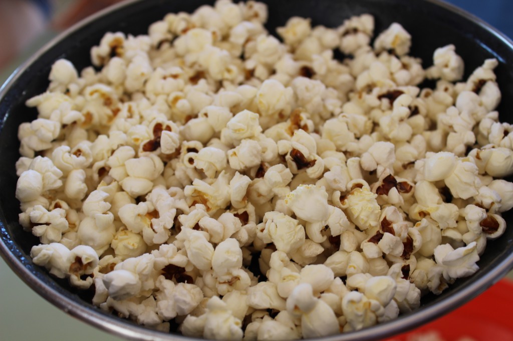 EL MAÍZ: NUESTRA EXPERIENCIA CON EL CULTIVO | Blog del CP de Ujué